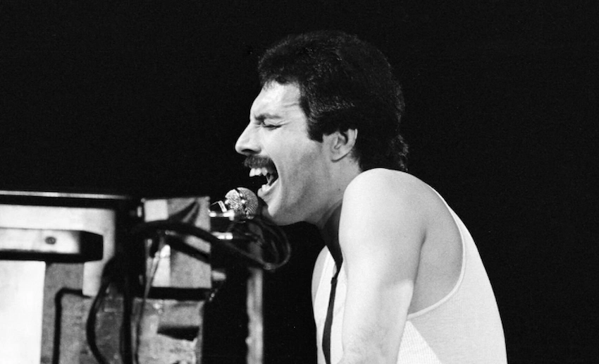 freddie mercury