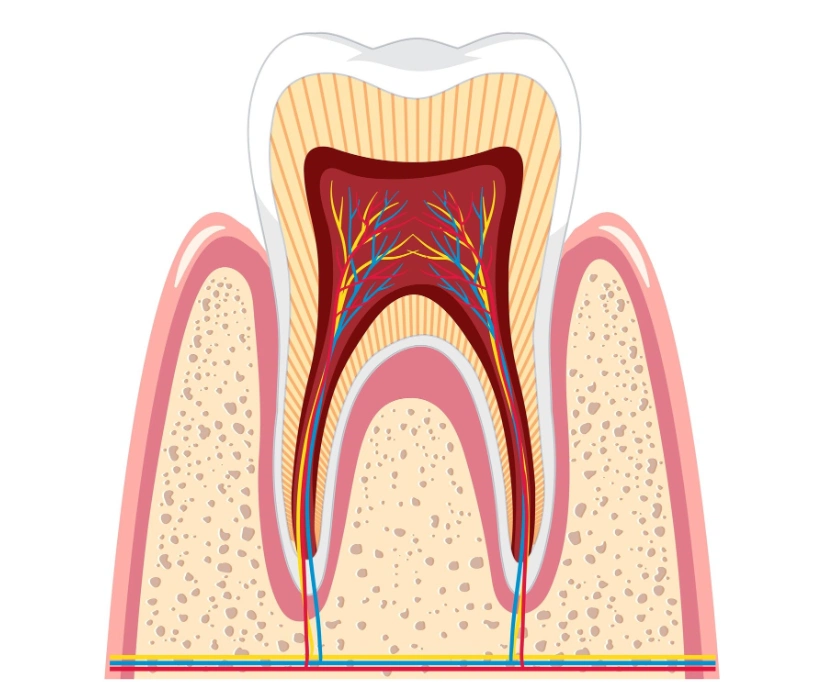 Root Canal Treatment