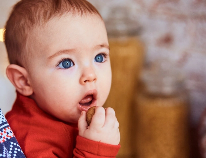 Baby mit blauen Augen, das eine Nuss isst