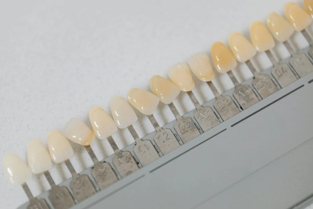 gros plan sur des dents artificielles