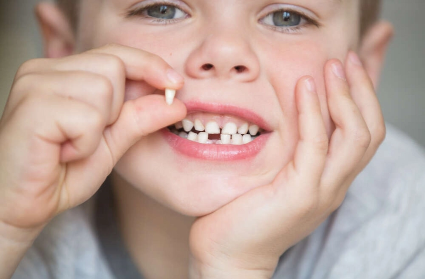 how many teeth do children lose