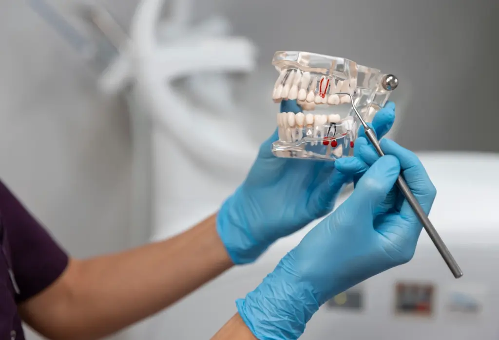 vidalı olmayan diş implantları
