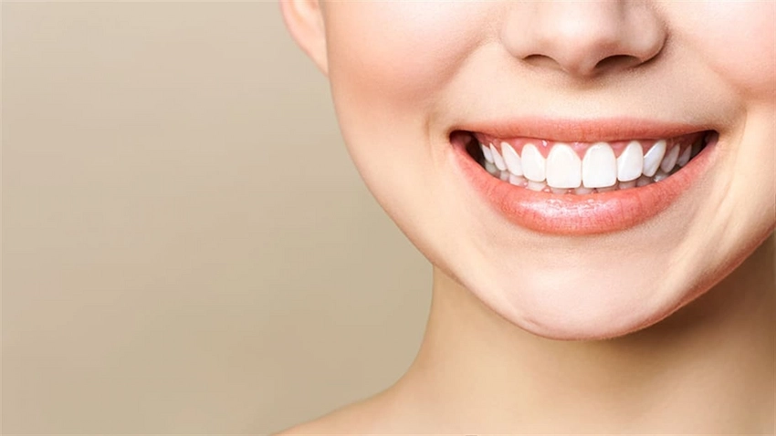 structure of teeth are teeth bones