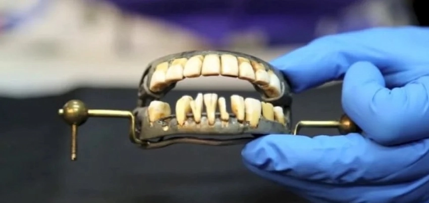 les humains pourraient-ils jamais avoir des dents en bois