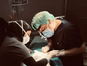 dental implants turkey: dental implants in lema dental clinic
