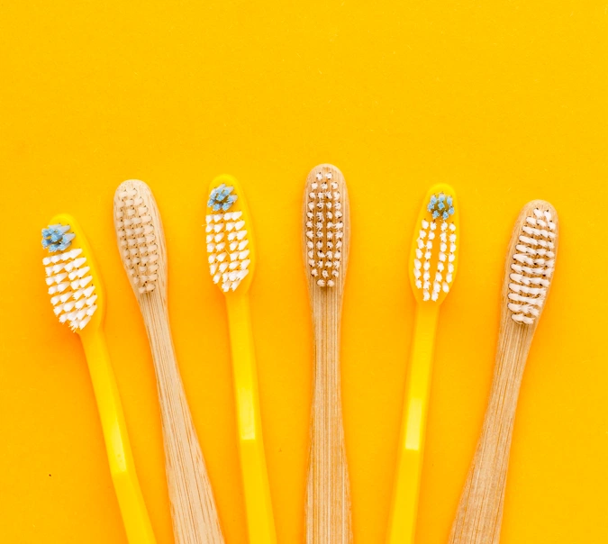 hard toothbrush and soft toothbrush