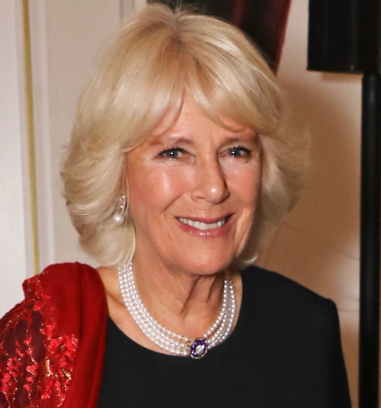 denti di regina camilla nel 2016