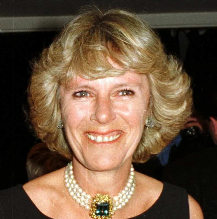 denti di regina camilla negli inizi degli anni 2000