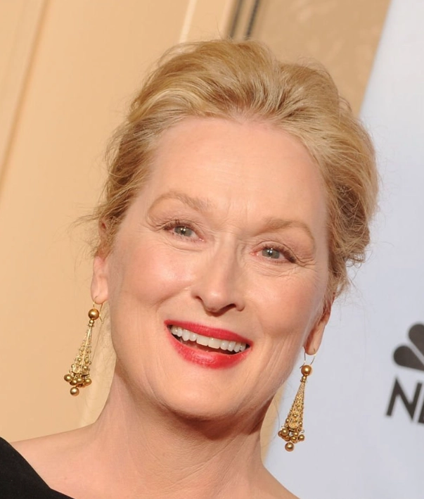 meryl streep hambad 2010