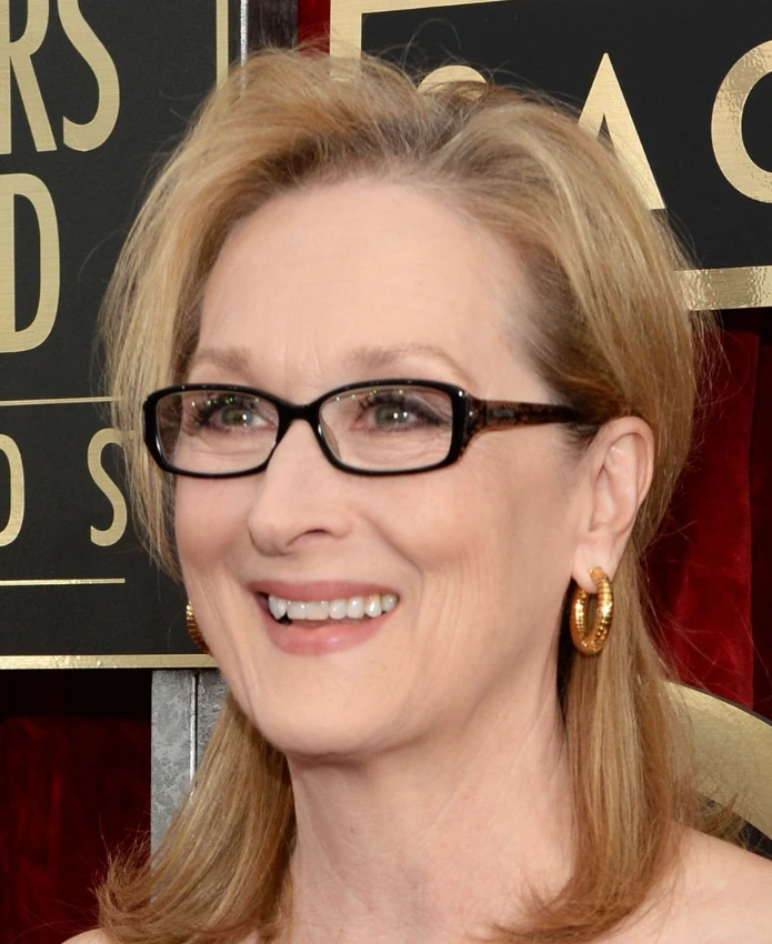 meryl streep hambad 2014