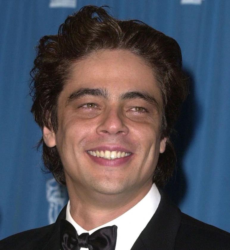 benicio del toro zobi 2001