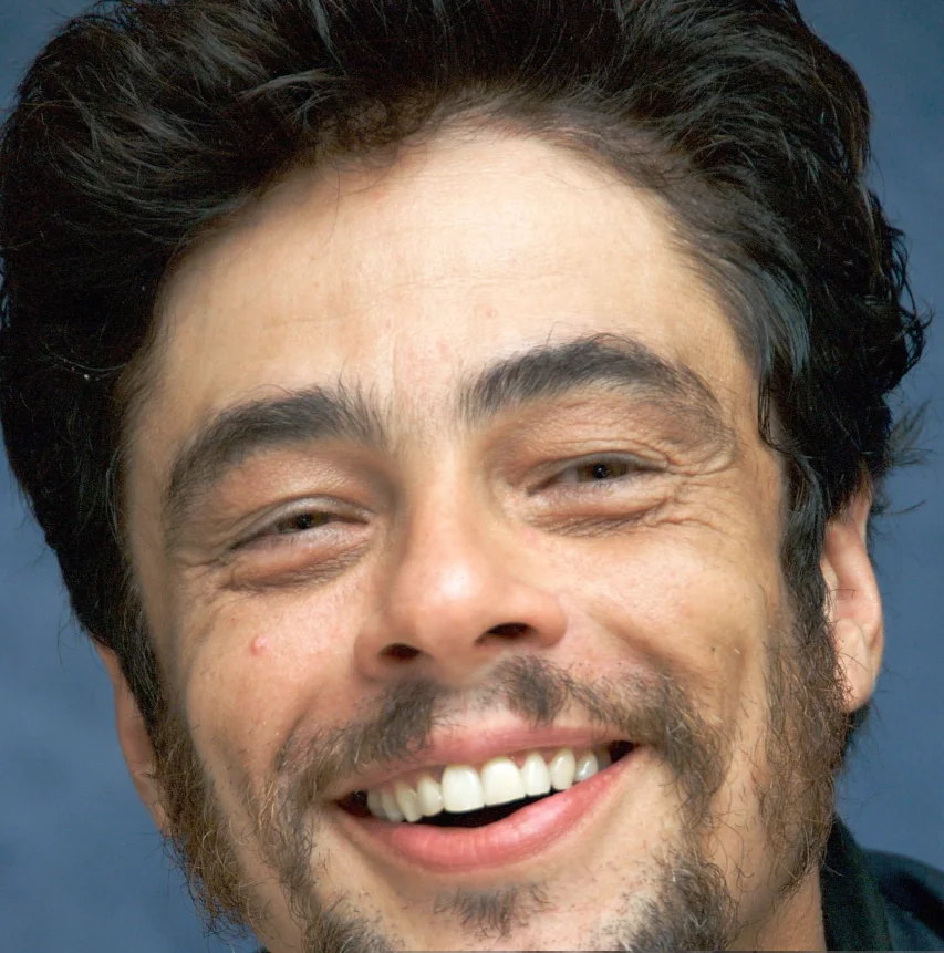 benicio del toro zobi 2007