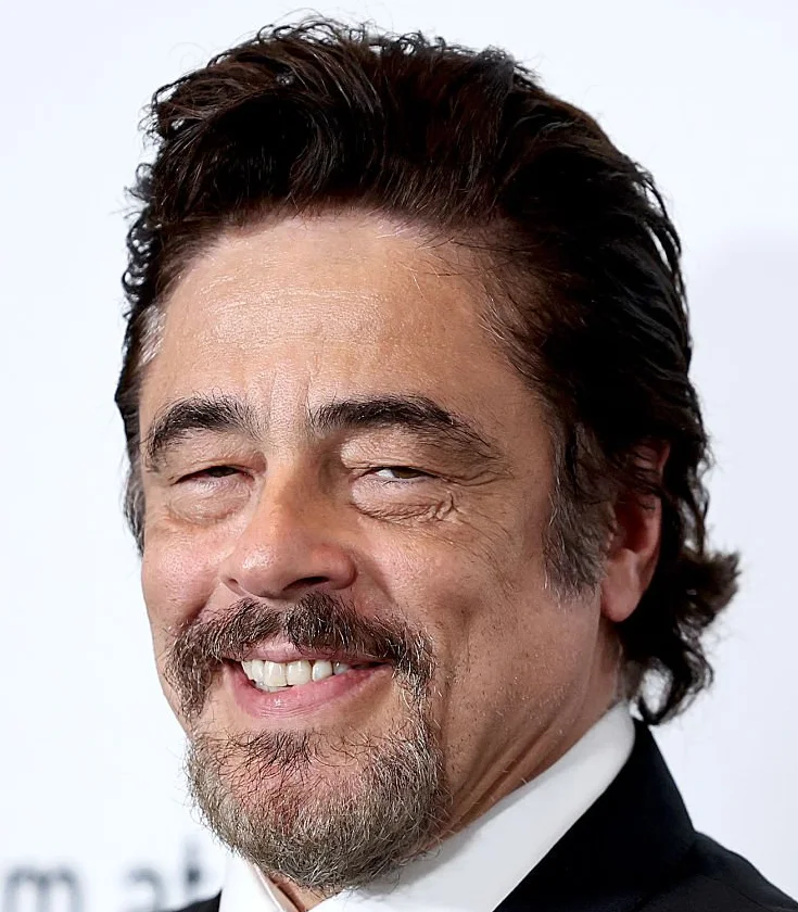 benicio del toro zobi 2025