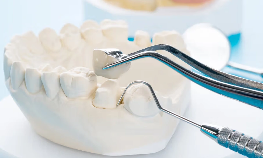 dental-code-d2954