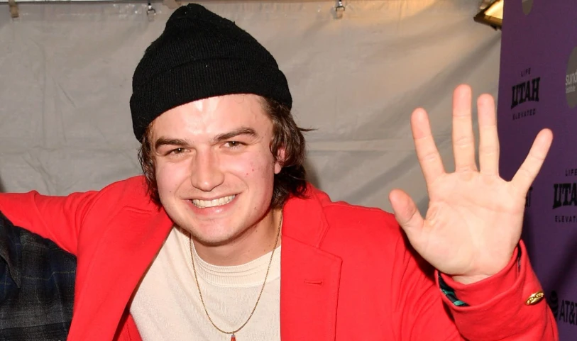 joe keery hambad 2020