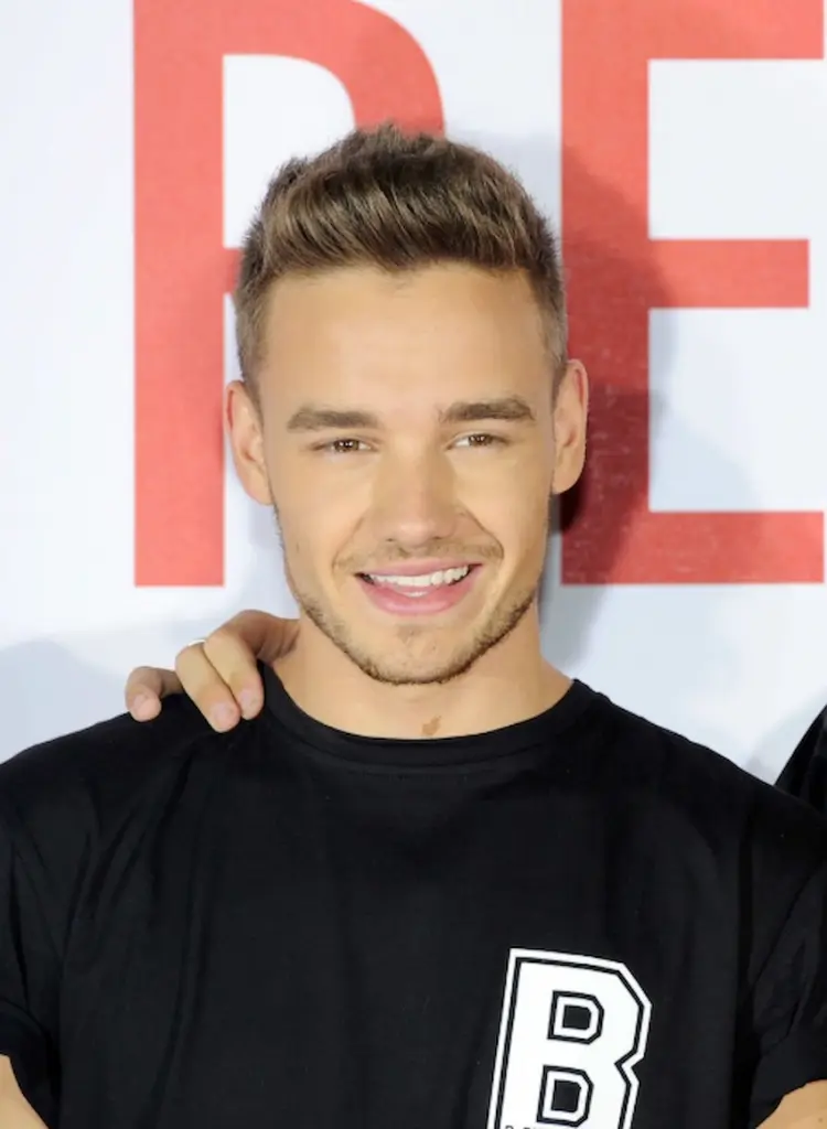 liam payne hambad 2013