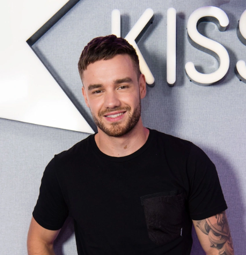 liam payne hambad 2020