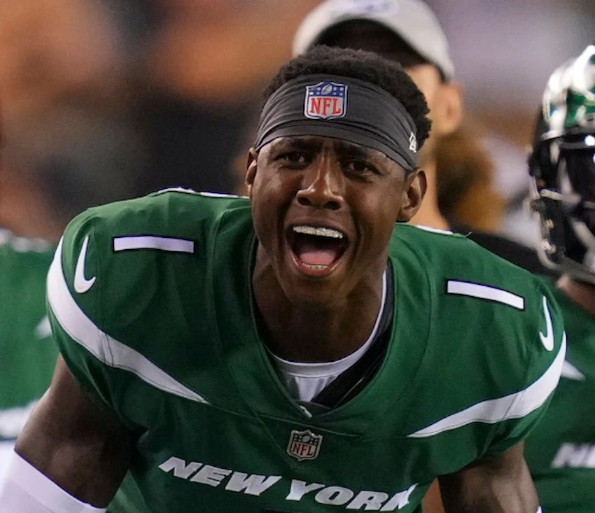 dientes de sauce gardner en 2022