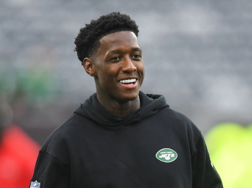 dientes de sauce gardner en 2023