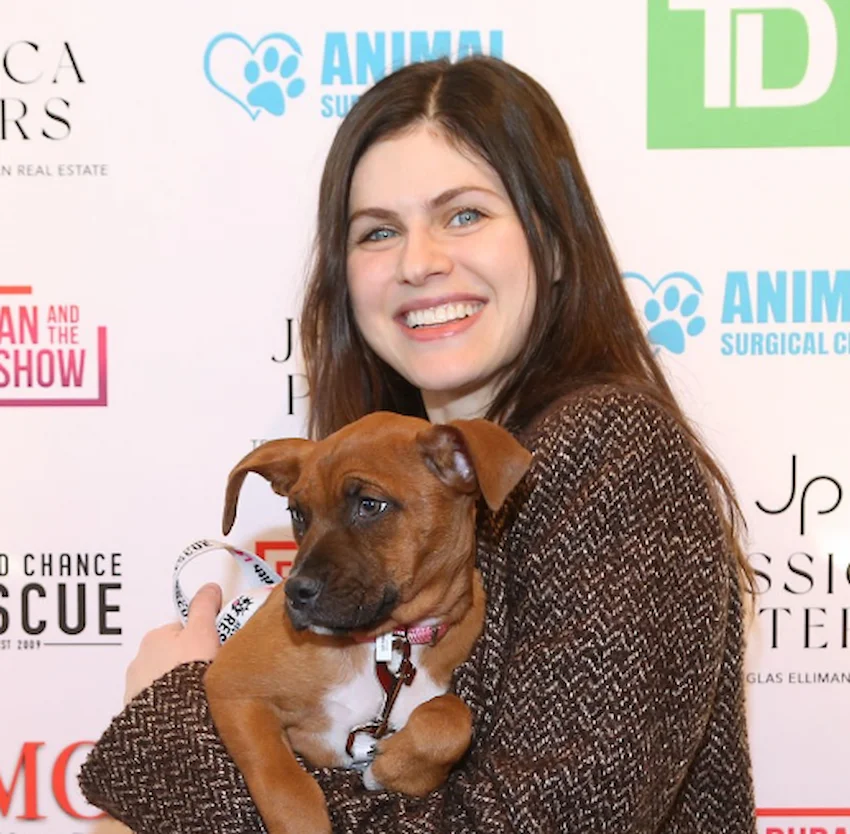 alexandra daddario teeth 2025