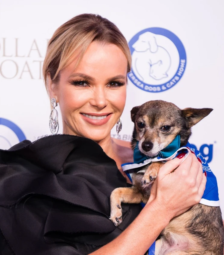amanda holden hambad 2017