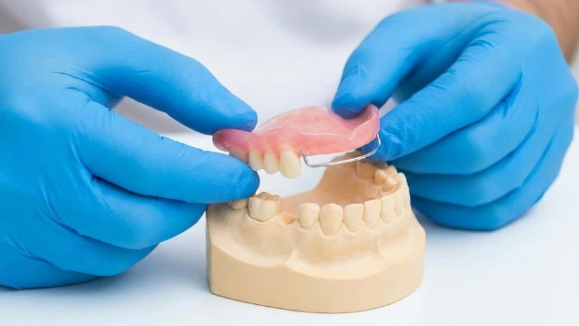 Diş Hekimi bir Flipper tutuyor