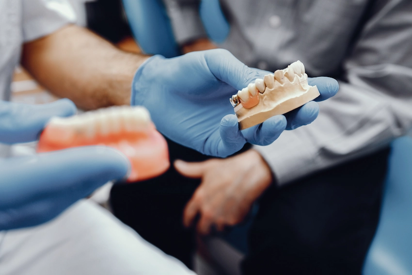 dentist holding dental prosthesis model