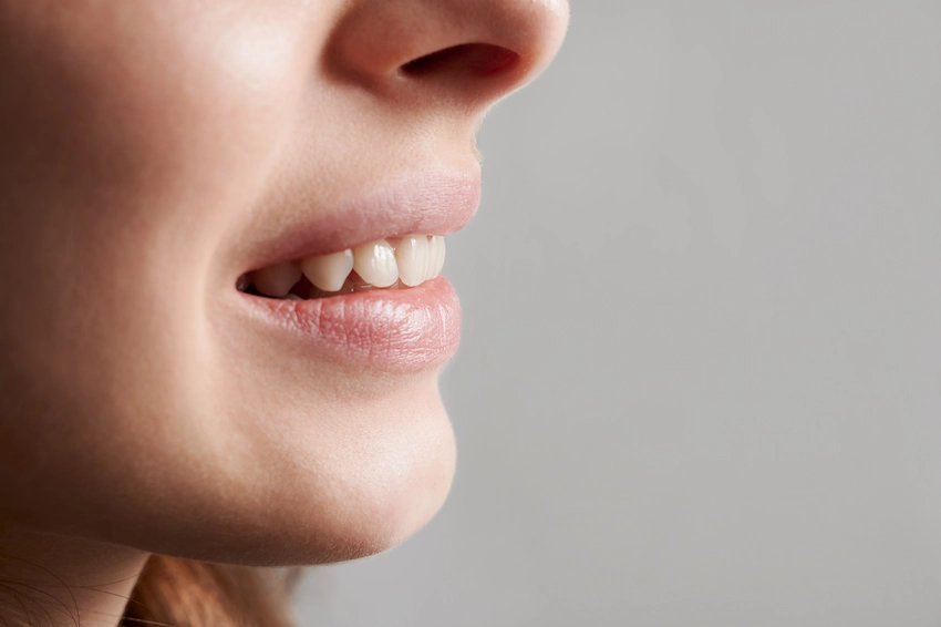macro photography beautiful female smile cropped snapshot macro photography beautiful female smile cropped snapshot