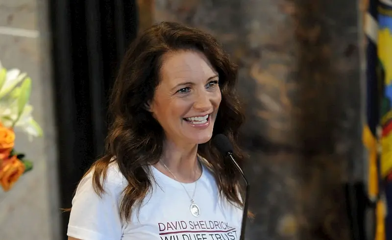 kristin davis teeth in 2015 kristin davis teeth in 2015