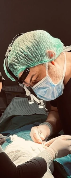 dental implants turkey: dental implants in lema dental clinic