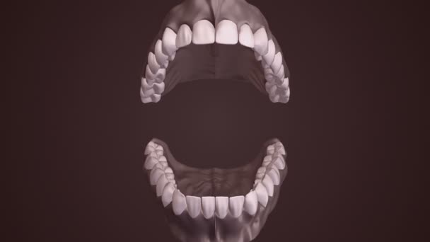 How Many Teeth Do Humans Have?